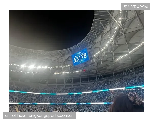 球迷热血沸腾：从热情到传承——球迷文化的无限魅力